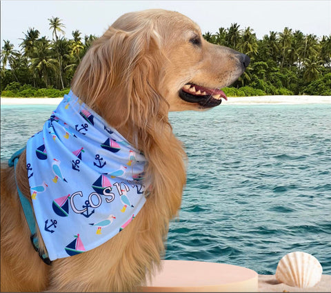 Sailing in Style Dog Bandana